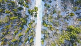 Cinematic drone - aerial footage moving forwards among trees on a pathway covered in snow during winter season.