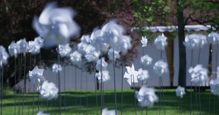 Pinwheels, Pralormo, Italy. Filmed on Panasonic Cinematic Camera