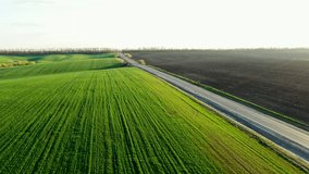 Picturesque aerial view of green crops and road