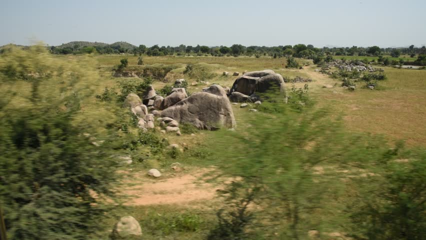 Forest landscape, India