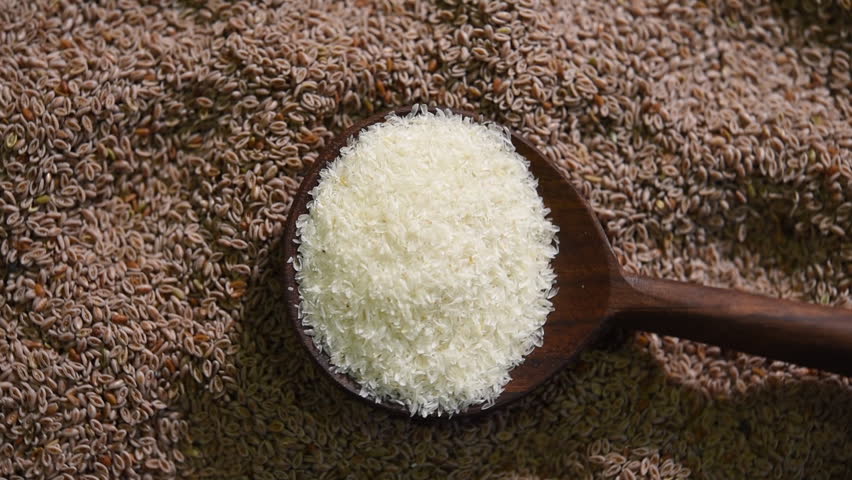 Psyllium husk or isabgol which is fiber usually mixed with water and consumed for curing constipation - video footage Royalty-Free Stock Footage #1027985024