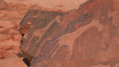 Rock cravings petroglyphs at Twyfelfontein in Damaraland Namibia