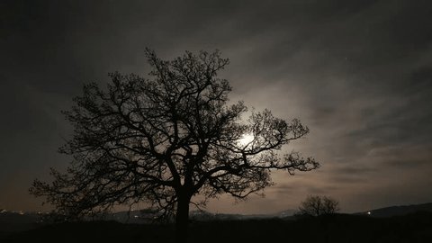 night time lapse of rising moon, silhouette of tree, clouds in starry sky, background lights of countries,running clouds