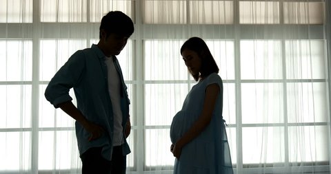 Silhouette of Pregnant Couple Arguing Stock Footage Video (100%  Royalty-free) 1028014142 | Shutterstock