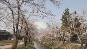 View of the snow capped Mount Fuji and a small stream in Oshino Hakkai village, Japan