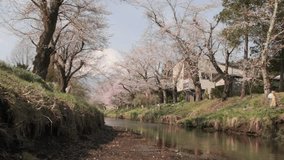 View of the snow capped Mount Fuji and a small stream in Oshino Hakkai village, Japan