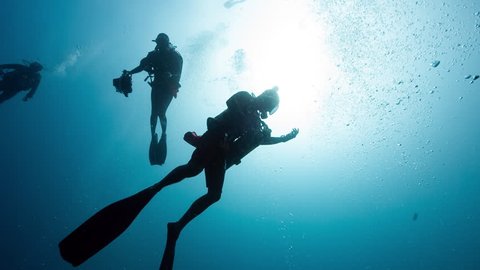 SCUBA Divers ascend in sunlit waters