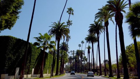 Driving through the streets of Beverly Hills