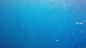 Underwater air bubbles video clip 