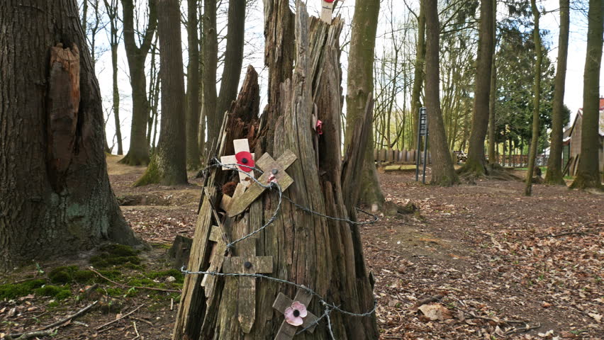Remains of World war one battlefield : trenches gimbal shot