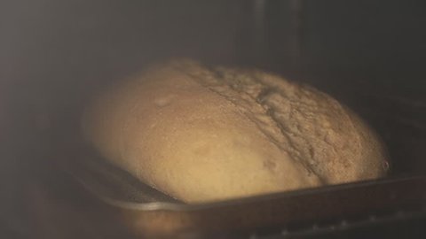 Close up of organic fresh loaf of bread baking in the oven of a kitchen. Timelapse of tasty bread in a bakery. Crusty of bread. Food.