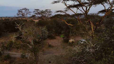 Sunrise near a river and campsite in Ol Pejeta, Kenya. Aerial shots.