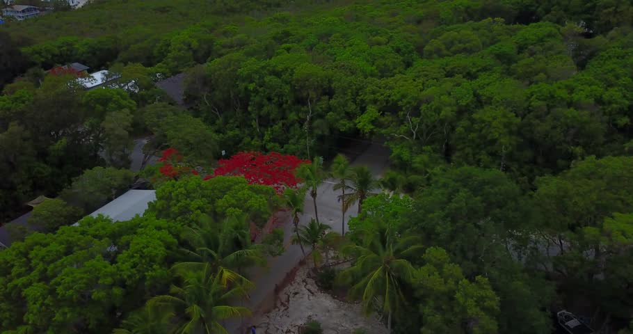 AERIAL: angled down twist around a road engulfed by trees in Key Largo, Florida.