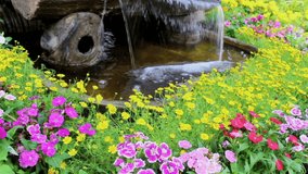 Footage waterfall flows and vivid flowers pot decoration in cozy home flower garden on summer.