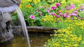 Footage waterfall flows and vivid flowers pot decoration in cozy home flower garden on summer.