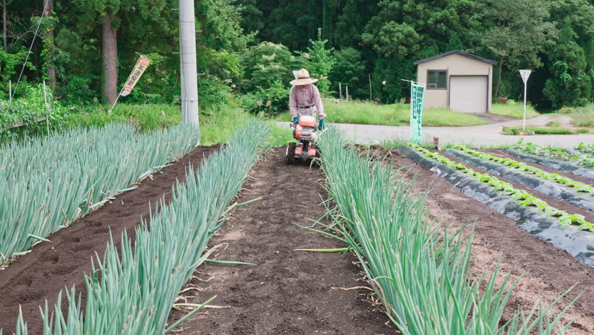 A senior Japanese man ploughs his smallholding. Green sign says: take care: pedestrians. White sign: please don