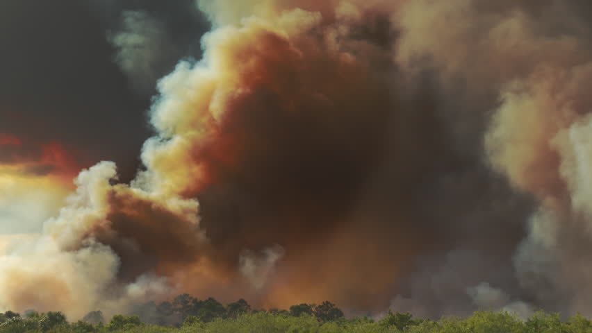 Thick plumes of dark SMOKE rise from a Amazon rain forest in Brazil that is on fire and burning due to deforestation. Dark yellow, black, and gray smoke billows into the sky. | Shutterstock HD Video #1028095223