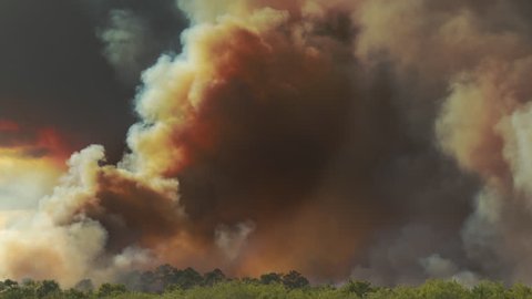 Thick plumes of dark SMOKE rise from a Amazon rain forest in Brazil that is on fire and burning due to deforestation. Dark yellow, black, and gray smoke billows into the sky.