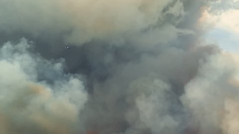 A massive wildfire with FLAMES and SMOKE consumes a forest during a brush fire burning in wetlands grasses and brush. Dark yellow, black, and gray smoke billows into the sky.