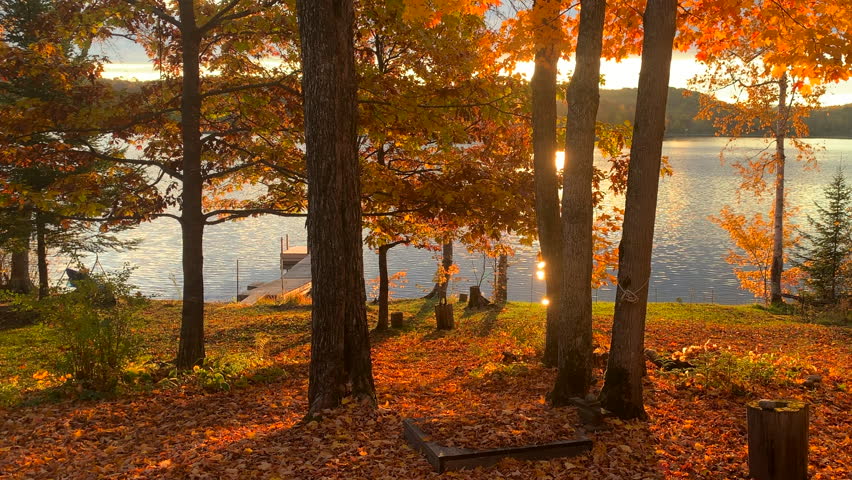 Early morning sun exposes beautiful fall colors.