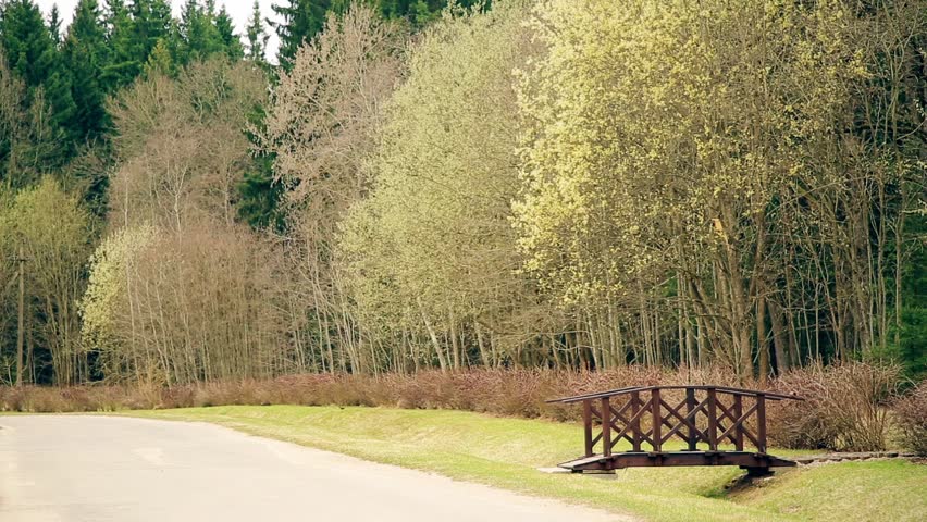 A wooden bridge near the asphalt road leads to the Park HD 1920