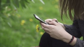 Young Woman Texting while Holding a Yellow Flower at a Park, Spring Time, Slow Motion Clip 