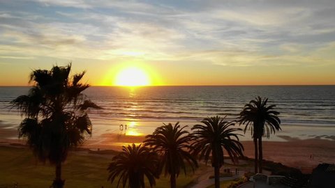 Aerial drone video tracking over the palm trees and Powerhouse Park in Del Mar, facing the ocean at sunset.