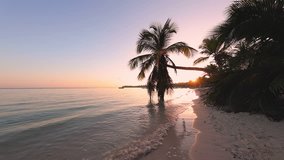 Punta Cana, Dominican Republic. Sunrise over tropical island beach and palm trees. 