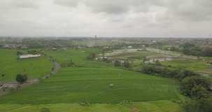 Beautiful view of rice terraces, Bali Indonesia, 4k video