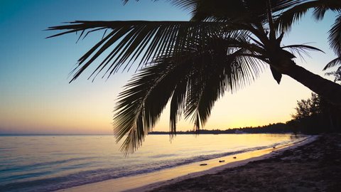 Exotic caribbean island and sunrise over the beach. Punta Cana Stockvideo