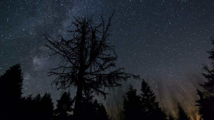 Stars sky with milky way galaxy over trees forest silhouette in starry night summer nature Astronomy Time lapse
