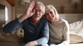 Elderly pretty lively couple sitting on couch records video message, overjoyed grey haired grandparents wave hands talking looks at camera chatting using webcam with grandchildren or grown up children