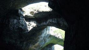 Amazing Landscape of a Huge Empty Cave with Vegetation and flying Birds and Bats. 4K Video Clip