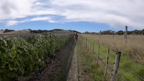 Walking along the vineyards with friends on Waiheke Island in New Zealand.