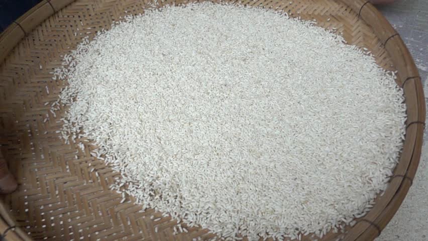 Hand of old Asian farmer select the best Thai jasmine rice for sale afterwards 
Harvest season in bamboo tray is a local wisdom in smart farm of Thailand after transplant rice seedlings in rice field.