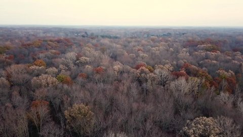 Aerial drone footage of forest surrounding farm land during autumn. Fall colors and trees swaying in the wind