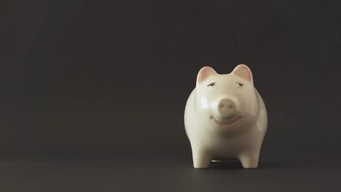 Hands of woman putting coins in pig piggy bank. Save money to the future