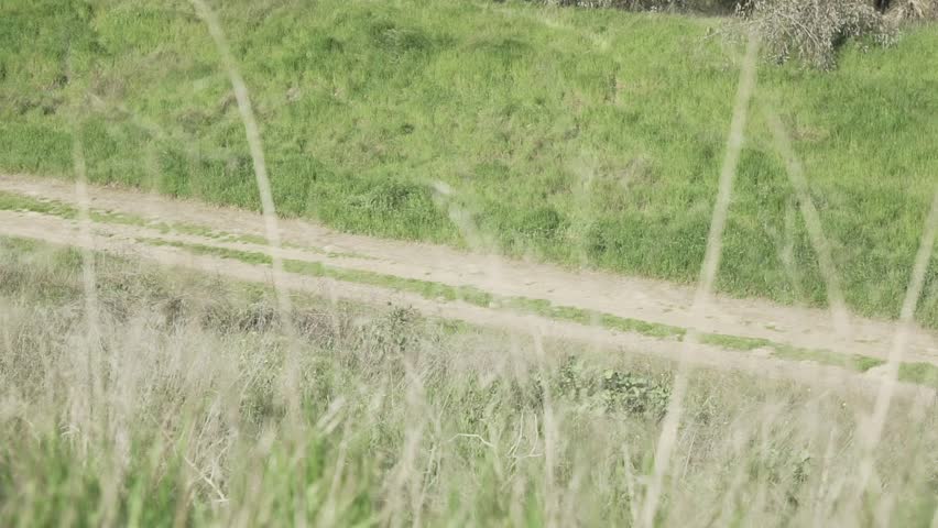 HD Hidden Jogging Trail Park Path Mountain Ranger New Zealand
