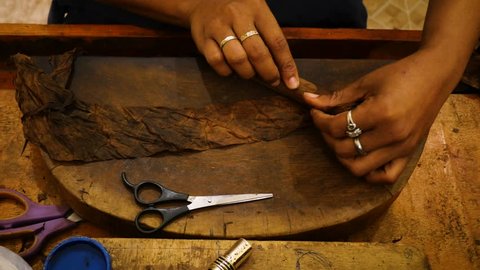 The process of a cigar being made by hand in a cigar factory in the Dominical republic.