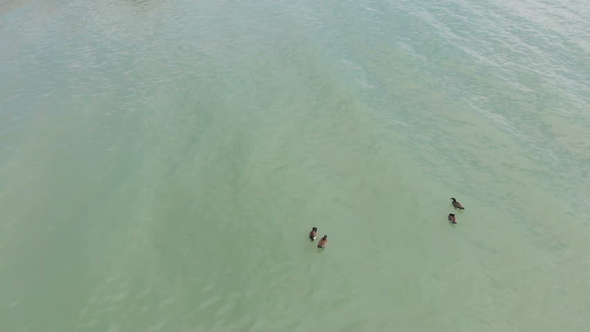 Fly over aerial view of the Michigan lake shore line, pier, yacht club, boats, early spring (april), sunny day
