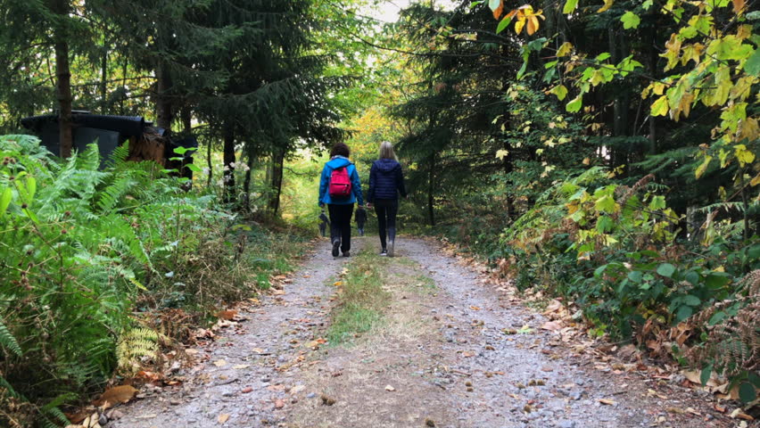 Two shot of mother and daughter walking on a footpath in a forest, Lautenbach, Black Forest Germany