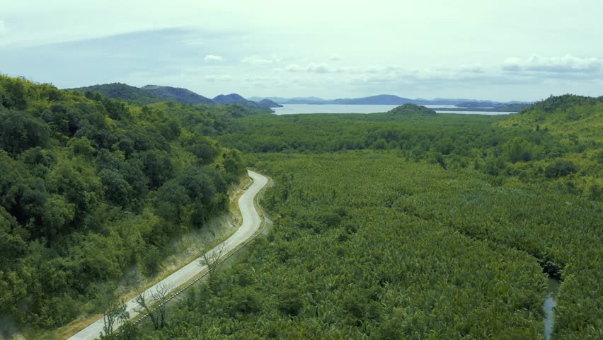 Mangrove forest along the mountain and winding road in the summer on the Coron, Busuanga, Philippines. Aerial view 4K