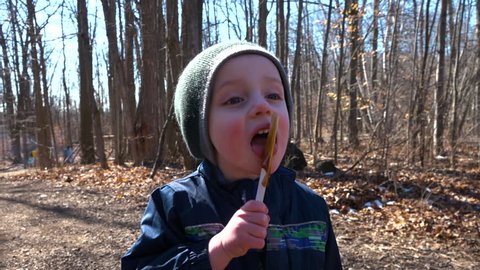 A little boy licking a maple syrup treat off a stick at a sugar bush festival