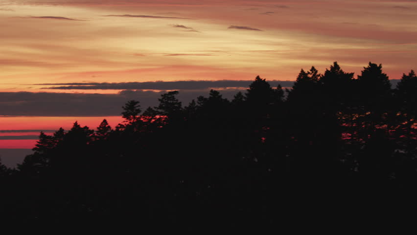 Aerial dusk view of a red natural sky at sunset over forest Pine trees USA RED WEAPON