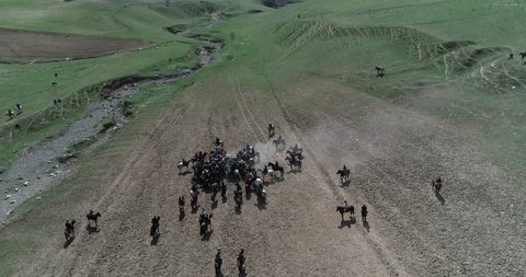 herd of horses view from drone Frightened horse stands on its legs during traditional game at Karakol festival in Tajikistan. It was scared byt goat carcass.