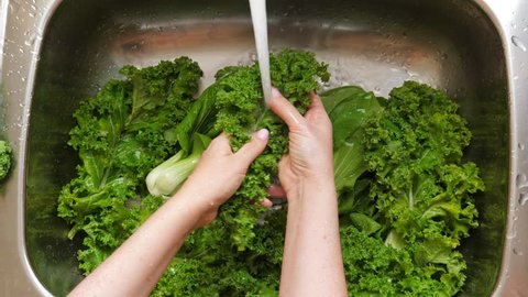 Woman washing in water in sink green kale cabbage leaves in kitchen, healthy food
