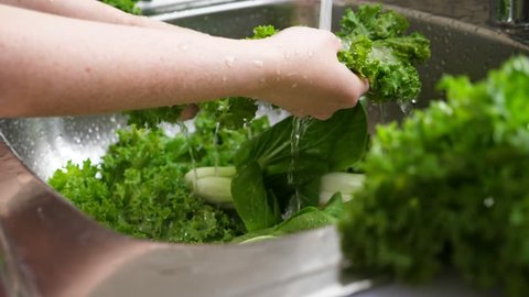 Woman washing in water in sink green kale cabbage leaves in kitchen, healthy food