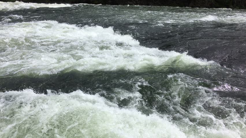  Yellowstone River,WY in summer
natural powerful flowing river