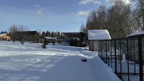 Observing panorama video at winter of wooden houses and snowy forest village 