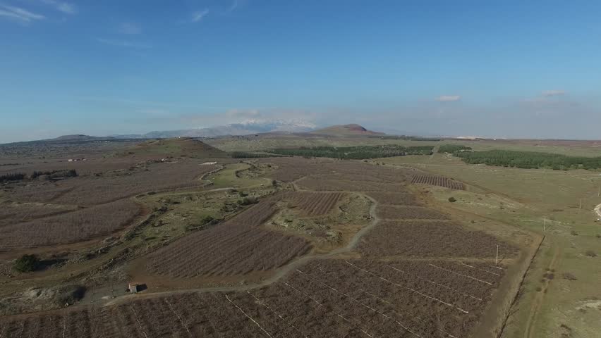 Aerial of vineyard field near Mt. Bental. Golan Heights. Israel. 